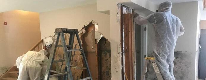 Mold Inspection North Las Vegas
