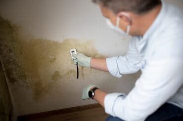 Mold Testing